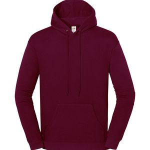Iconic 250 Hooded Sweat, miniatyr 4